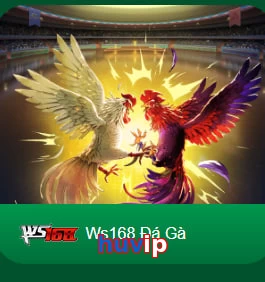 huvip